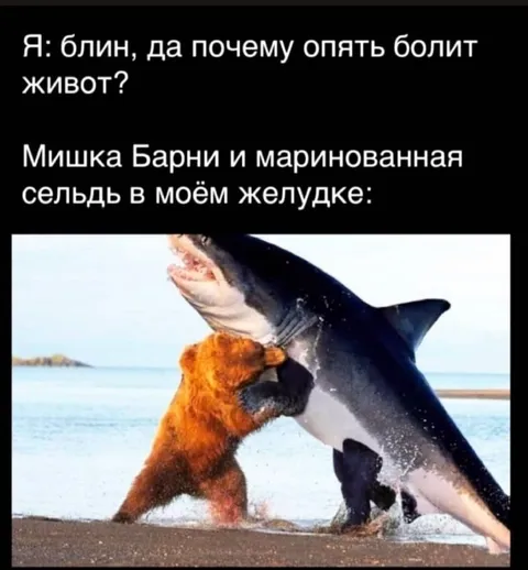 Мишка Барни и селёдка