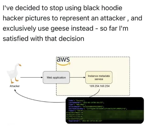 Goose as the Attacker