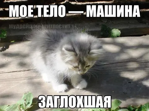 Моё тело — заглохшая машина