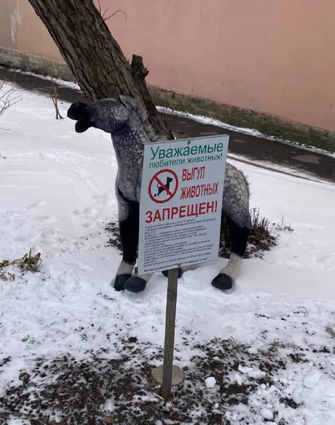 Выгул животных запрещен