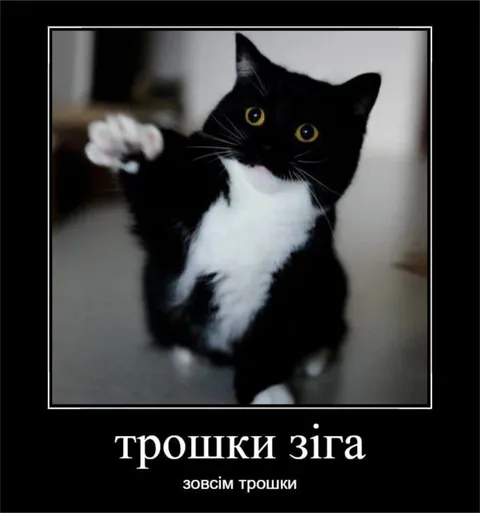 Трошки з'їла