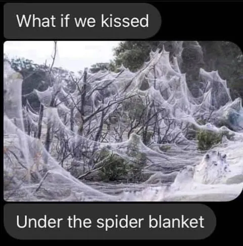 Under the Spider Blanket