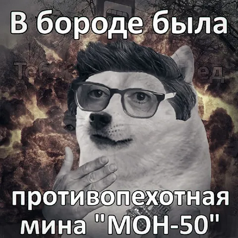 Противопехотная мина в бороде