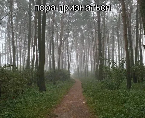 Пора признаться в лесу