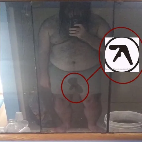Aphex Twin Bathroom Selfie