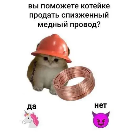 Котейка продаёт медный провод