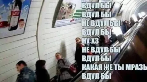 Вдул бы или не вдул бы