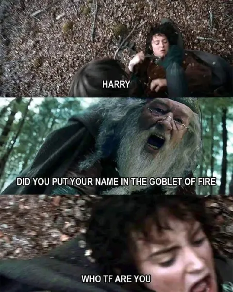 Dumbledore Questions Harry’s Name