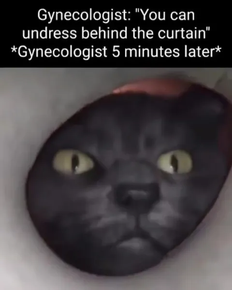 Cat Discovers the Gynecologist