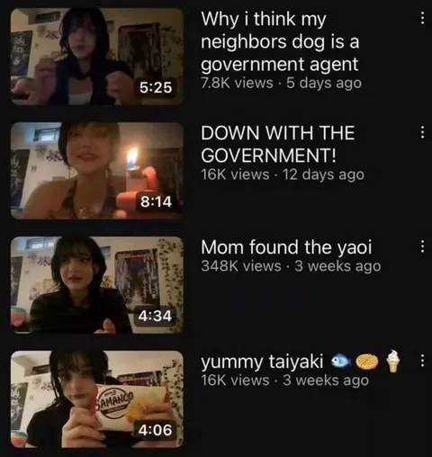 Neighbor's Dog Government Agent