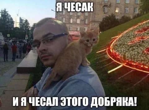 Я чесак этого добряка