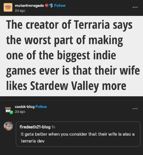 Terraria Creator's Wife Prefers Stardew Valley