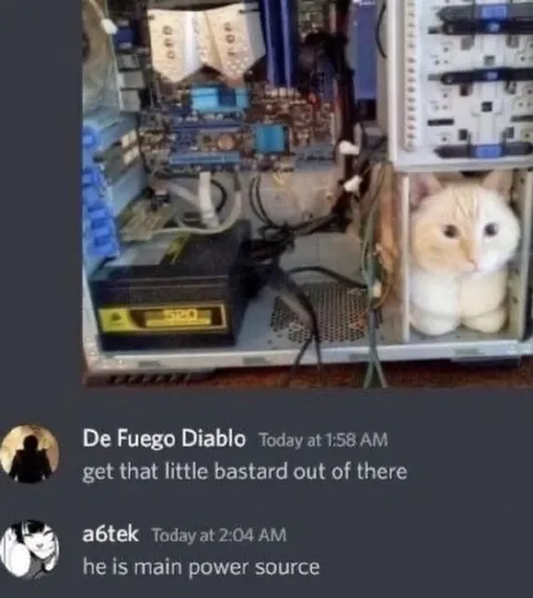 Cat Is the Main Power Source
