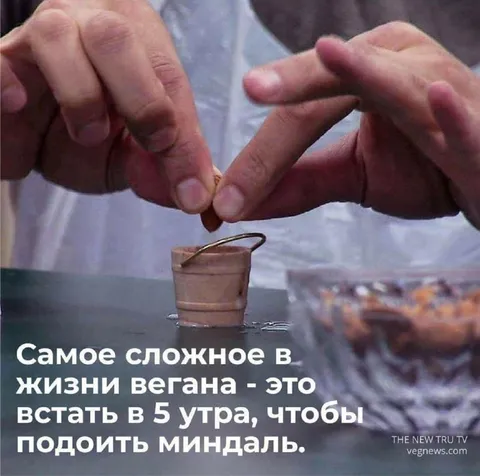 Самое сложное в жизни вегана