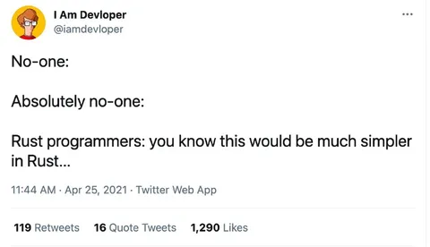 Rust Programmers Simplify Everything