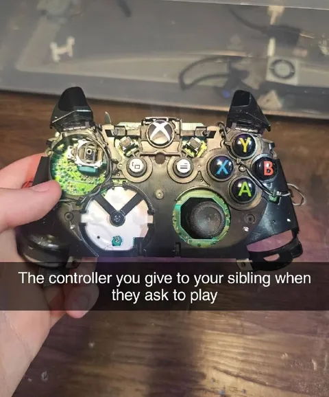 Broken Controller for Sibling