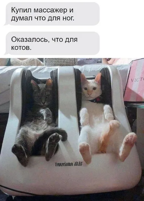 Массажер оказался для котов
