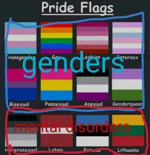 Pride Flags Mental Disorders