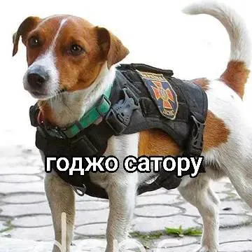 Годжо Сатору в бронежилете