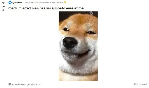 Medium Sized Man Almondt Eyes