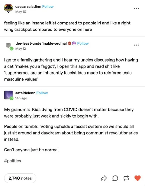 Tumblr Politics Is Never Normal
