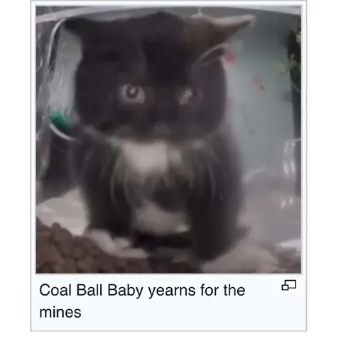 Coal Ball Baby Yearns for the Mines
