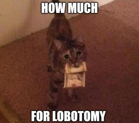 How Much for Lorotomy