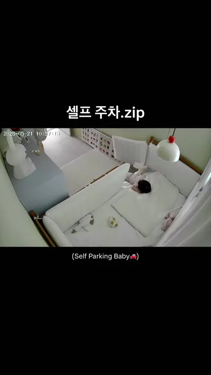 셀프 주차하는 아기