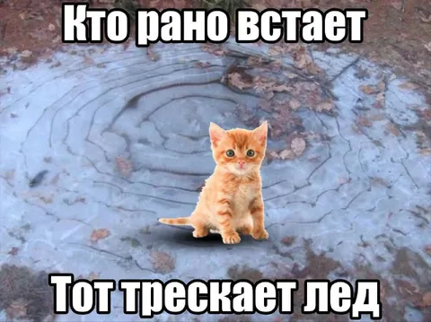 Кто рано встает, тот трескает лед