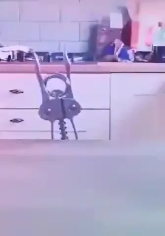 Танцующий кухонный монстр