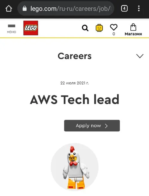 Курица на должности AWS Tech Lead