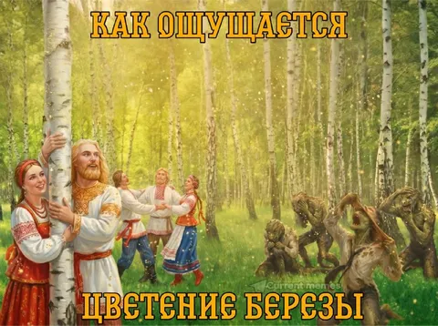 Как ощущается цветение березы