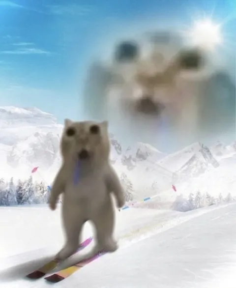 Кот на лыжах в горах