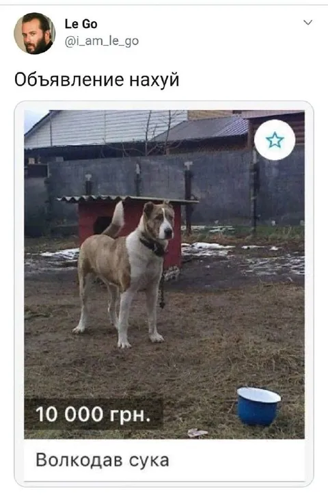 Волкодав за 10 000 грн