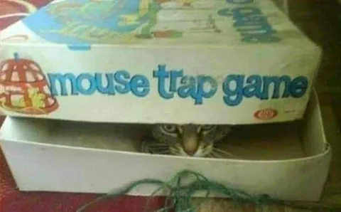 Cat in the Mouse Trap Game Box