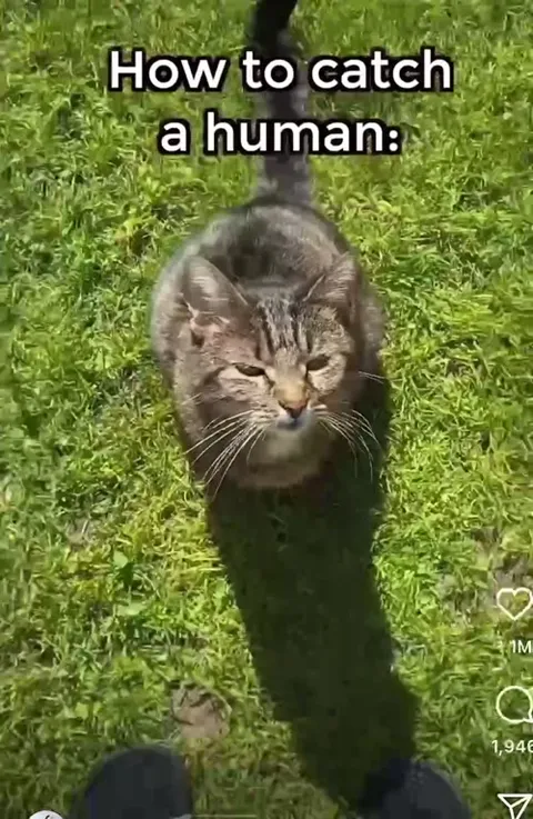 How to Catch a Human