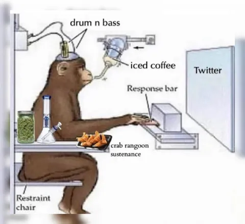 Monkey Twitter Drum and Bass Setup