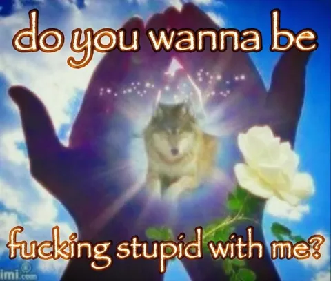 Do You Wanna Be Stupid With Me