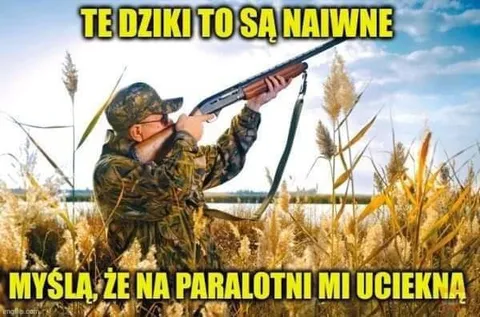 Dziki uciekają na paralotni
