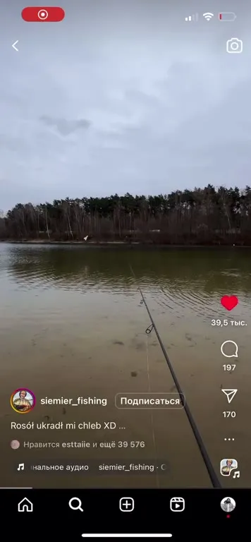 Rosół ukradł mi chleb
