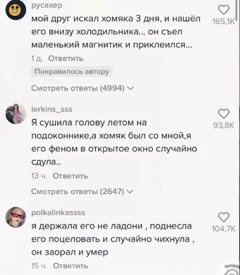 Три нелепые истории про хомяка