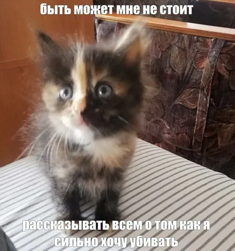 Малыш, которому лучше промолчать