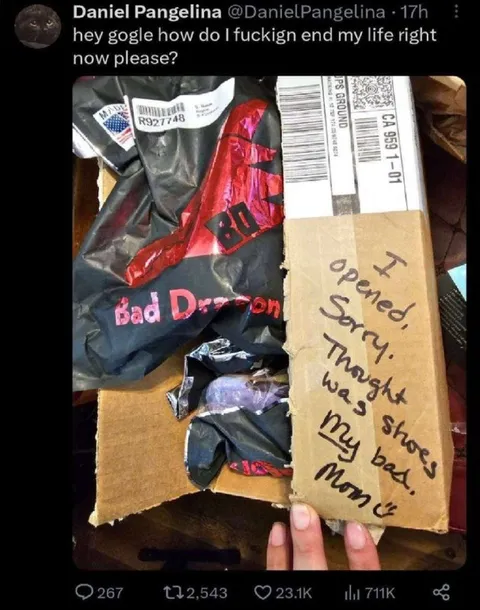 Bad Dragon Package Opened by Mom