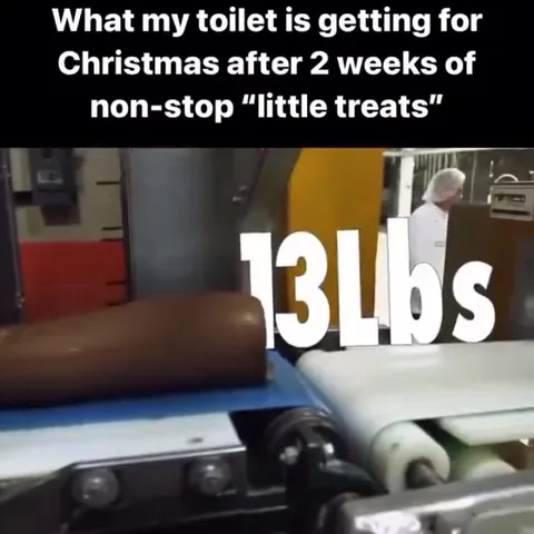 Toilet Gets a Sausage for Christmas