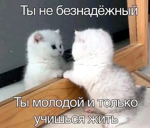 Ты не безнадёжный, ты молодой