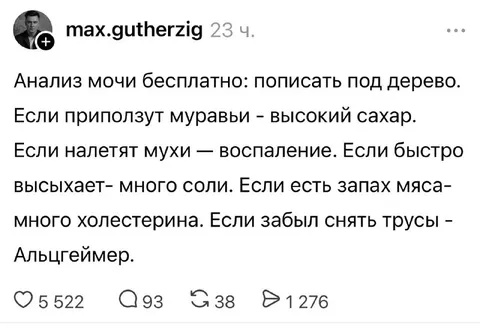 Бесплатный анализ мочи под деревом