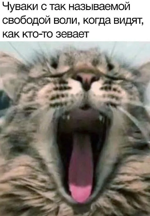Чуваки с якобы свободой воли