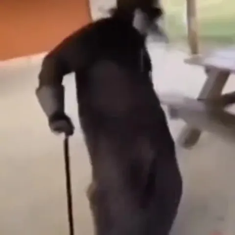 Когда включили любимый хит