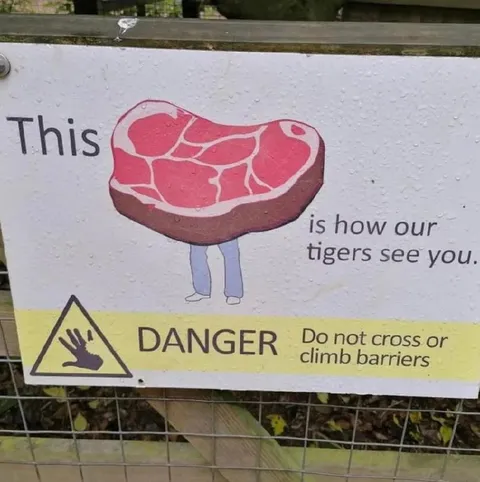 Meat Rocking Jeans