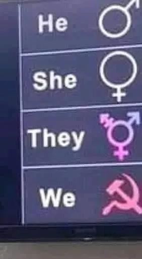 He She They We Gender Chart